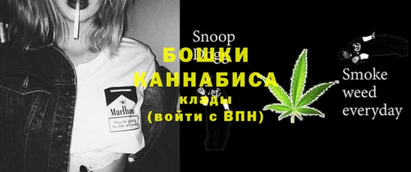 мдпв Протвино