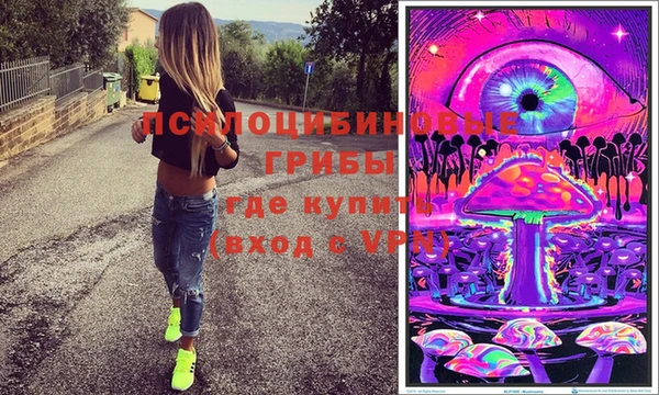 мдпв Протвино