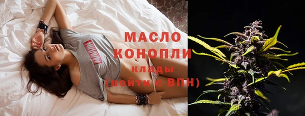 мдпв Протвино